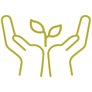 superannuation icon
